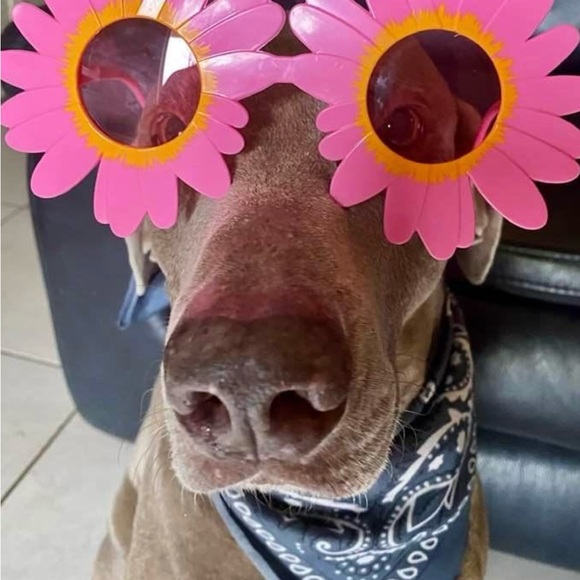 🌴Meet Me🌴 - Picture 3 of 5